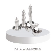 Big flat head self tapping screw