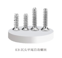 沉头平尾自攻螺丝