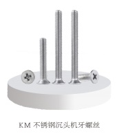 不锈钢沉头机牙螺丝