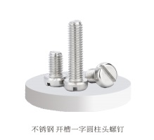 不锈钢 开槽一字圆柱头螺钉