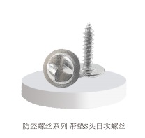 防盗螺丝系列 带垫S头自攻螺丝