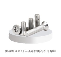 Anti theft screw series, flat head with pillar plum blossom machine tooth screw