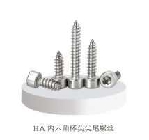 Hexagonal cup head pointed tail screw