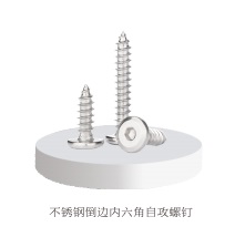 Stainless steel inverted hexagonal self tapping screw