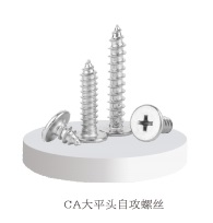 Big flat head self tapping screw
